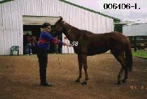 ���� (GWANG DEOK) ����