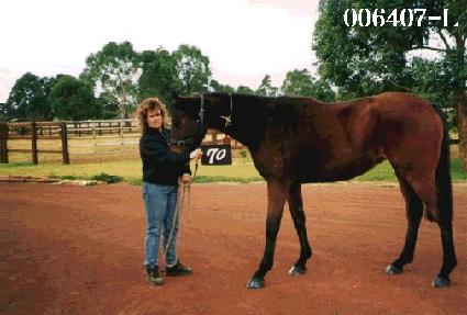 �빮�� ����