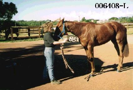 ��ī�þ� ����