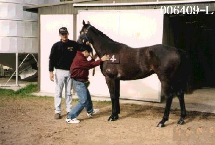 ������ ����