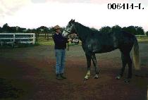 ���� (SEONG WON) ����