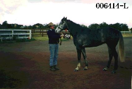 ���� ����