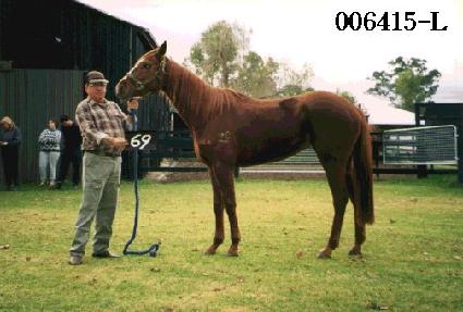 ����� ����