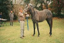 ���ϻ� (JEONG AM SAN) ����