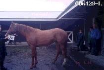 ������ (MYEONG JI SAN) ����