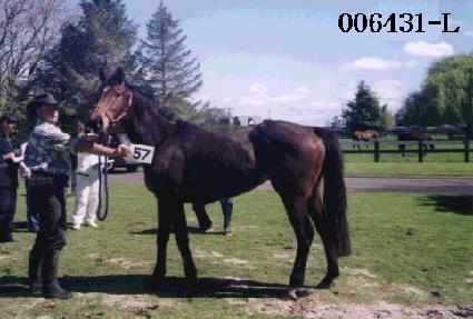 ��ȭ�� ����