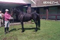 Ÿ��ź (TITAN) ����