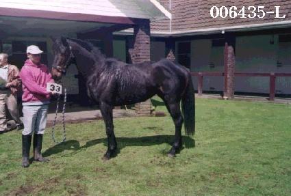 Ÿ��ź ����