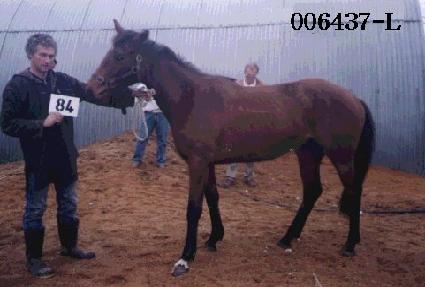 ��Ʈ ����