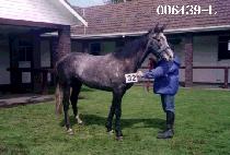 ������ (GA YEOP SAN) ����