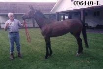 �ھ� (CORE) ����