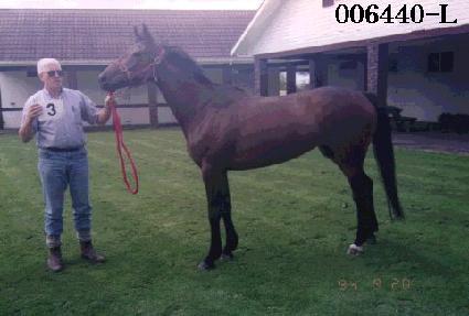 �ھ� ����