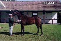 �߹��� (JOONG MOON SAN) ����