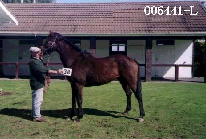 �߹��� ����