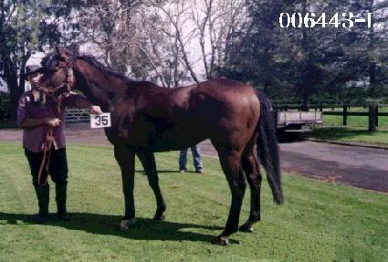 û���� ����