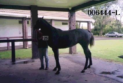 �ǹ��� ����