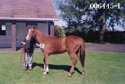 ���꿡 ����