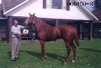 ������ (HYEONG JE BYEOL) ����