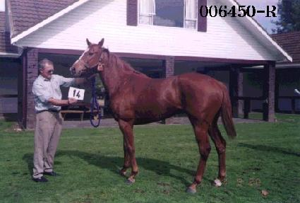 ������ ����