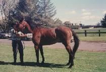 ȿ�ڷ� (HYO JA RO) ����