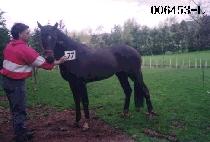 ���� (SEONG EUN) ����