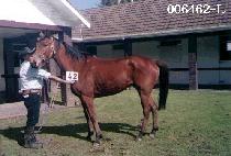 õ���� (CHEON RI HAENG) ����