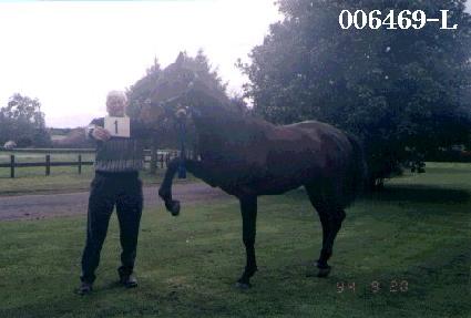 �Ѽ� ����