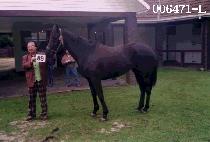 ���ٽ� (INTENSE) ����