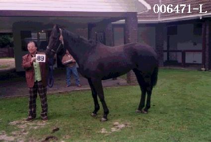 ���ٽ� ����