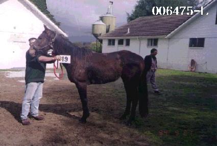 �𵵸� ����