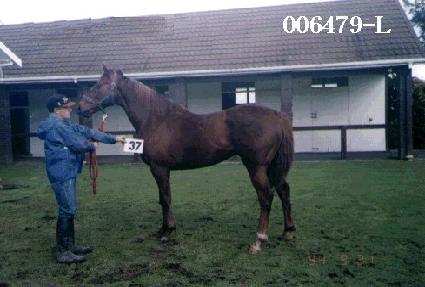 �ܰ��� ����