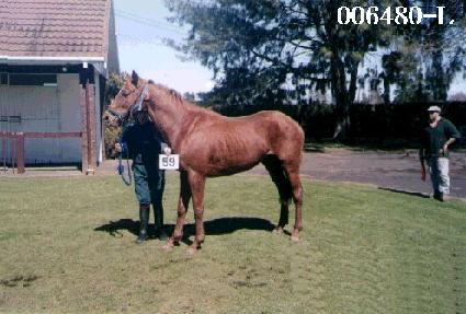 �泲��ȣ ����