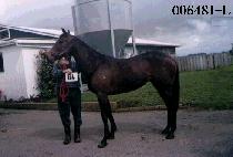 ����ȣ (WU JU HO) ����