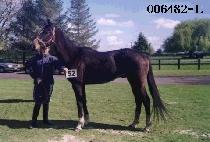 ���Ϸ� (TONG IL RO) ����