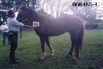 ĥ���� (CHIL PAL YOOK) ����