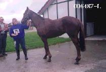 �Ŀ��� (POWER UP) ����