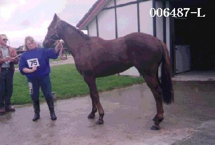 �Ŀ��� ����