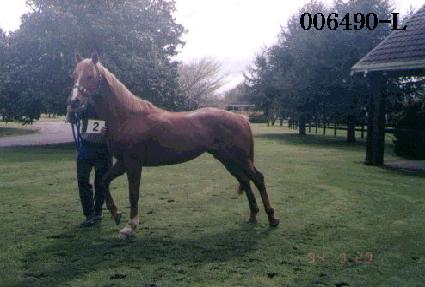 ž���� ����