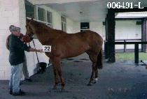 ��л� (DAE DOON SAN) ����