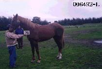 ������ (CHAN MA RU) ����