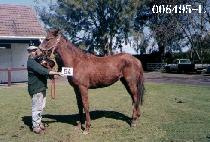 ��ǳ�� (POK POONG SEOL) ����