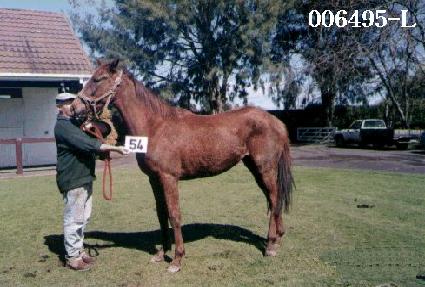 ��ǳ�� ����