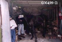 �뼺�� (DAE SEONG WOON) ����