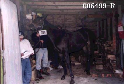 �뼺�� ����