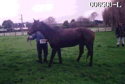 ��ӷ� ����