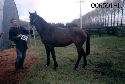 �뼺��ȣ ����