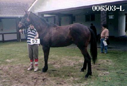 ��ħ���� ����