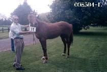 ���� (MA RYOON) ����