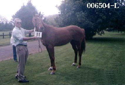 ���� ����