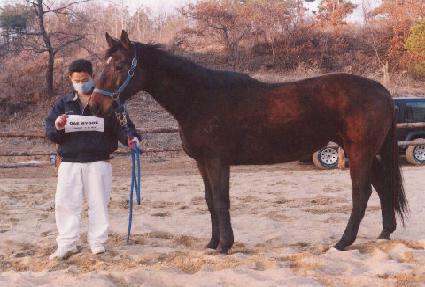 ��� ����